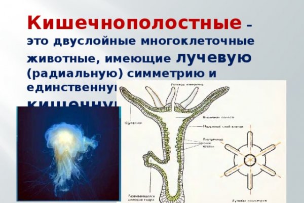 Кракен ссылка германия
