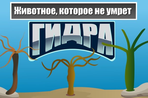 Кракен вход krakens13 at